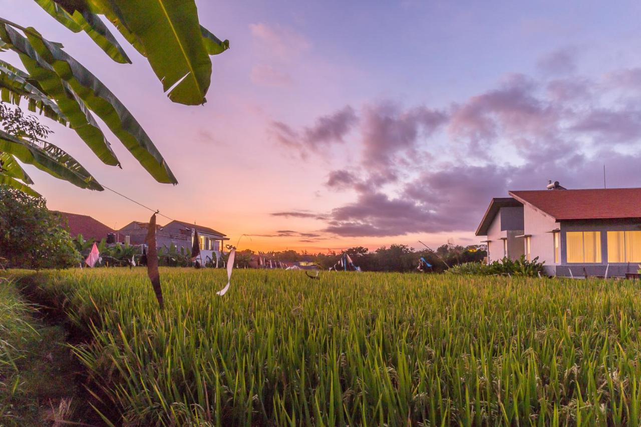 Charming Ricefield View 3 Bedrooms Villa